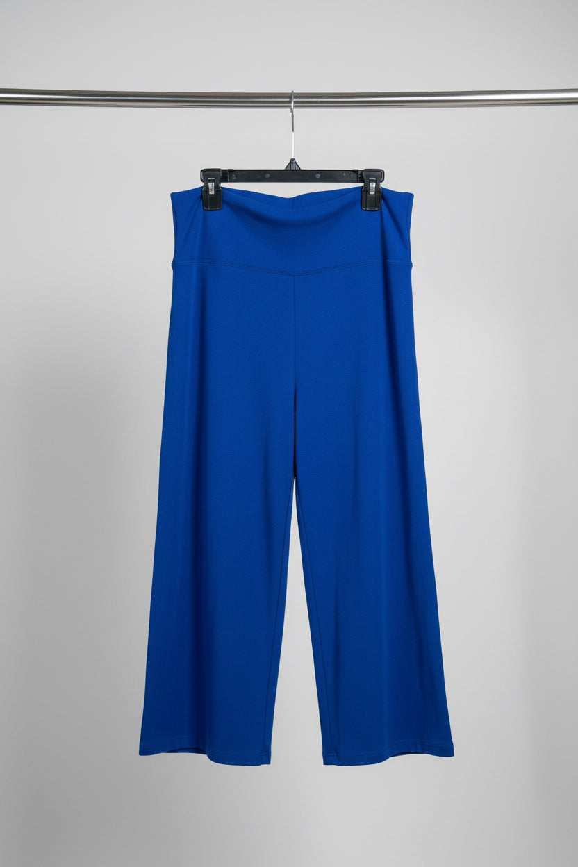 Dark Blue Pants